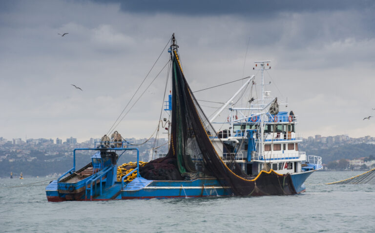 Commercial Fishing Accidents