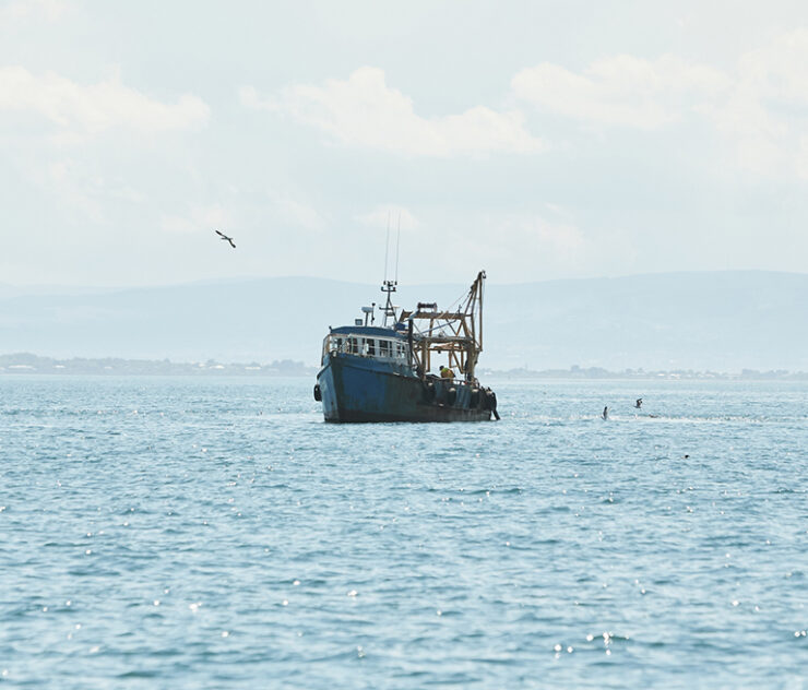 Vessel Disasters
