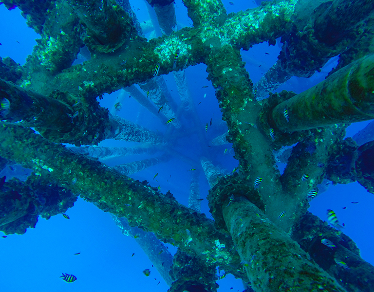 Causes of Fatal Injury in Underwater Welding Accidents